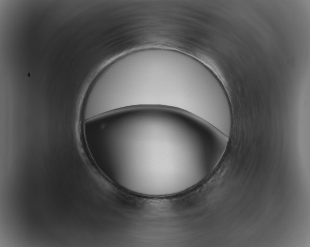 X0000089901136200706281130