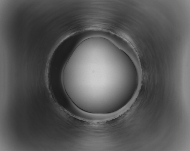 X0000089901138200706281130