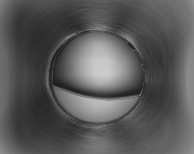 X0000089901139200706281130