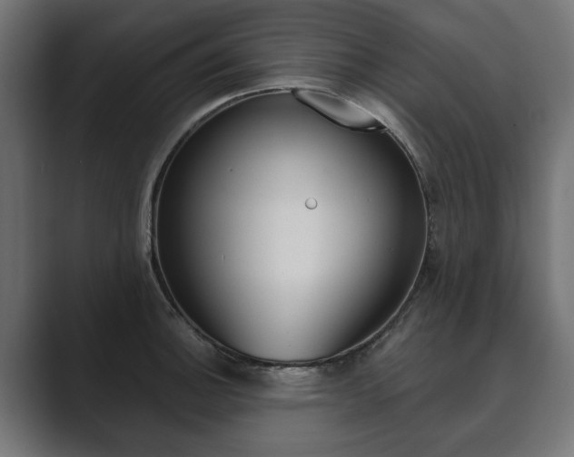 X0000089901140200706281130