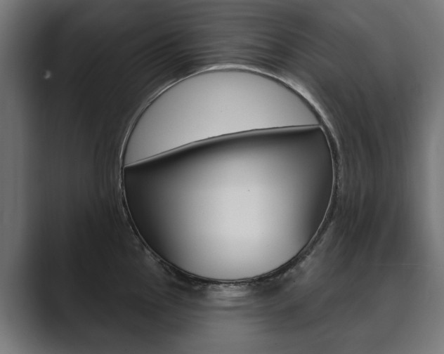 X0000089901145200706281130