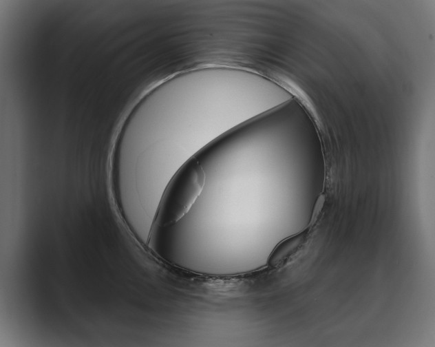 X0000089901146200706281130