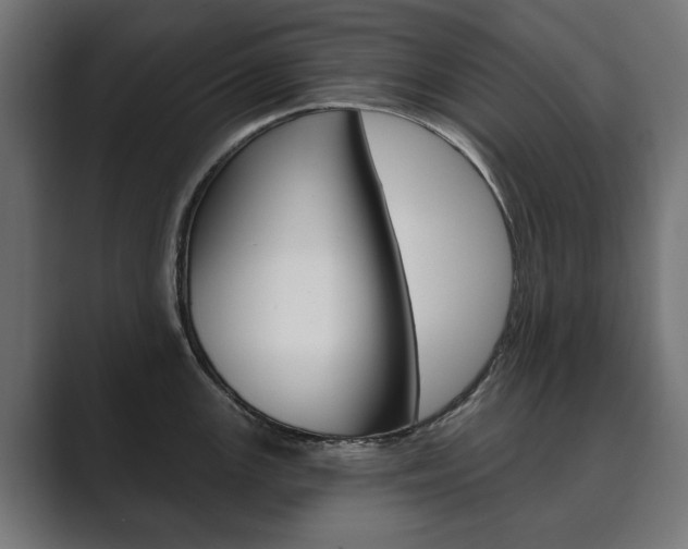 X0000089901147200706281130
