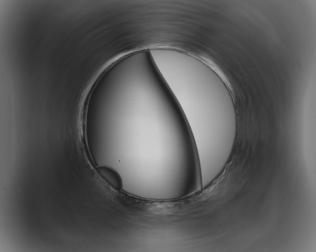 X0000089901148200706281130