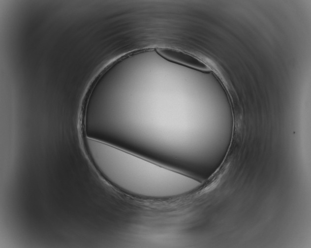 X0000089901149200706281130