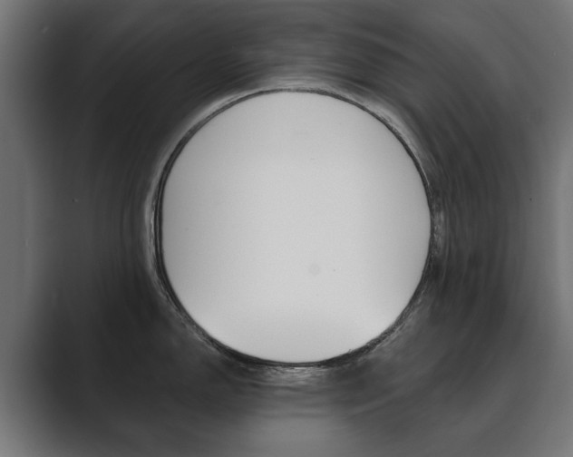 X0000089901150200706281130