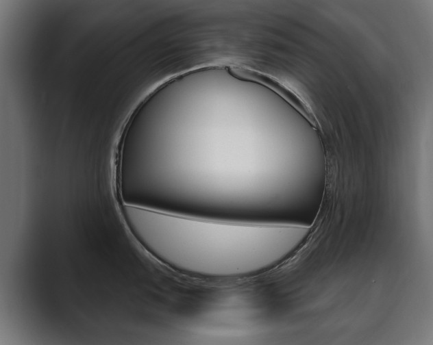 X0000089901151200706281130