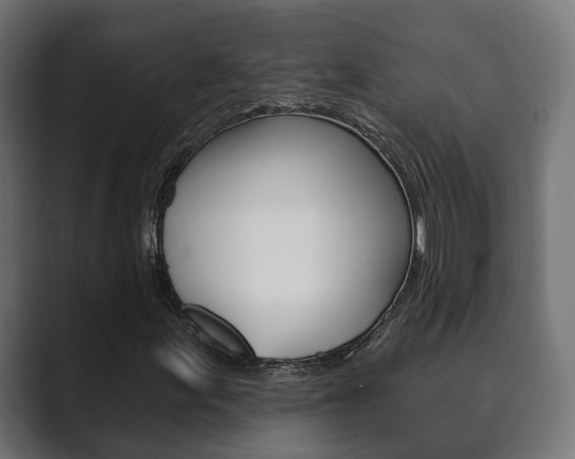 X0000089901155200706281130