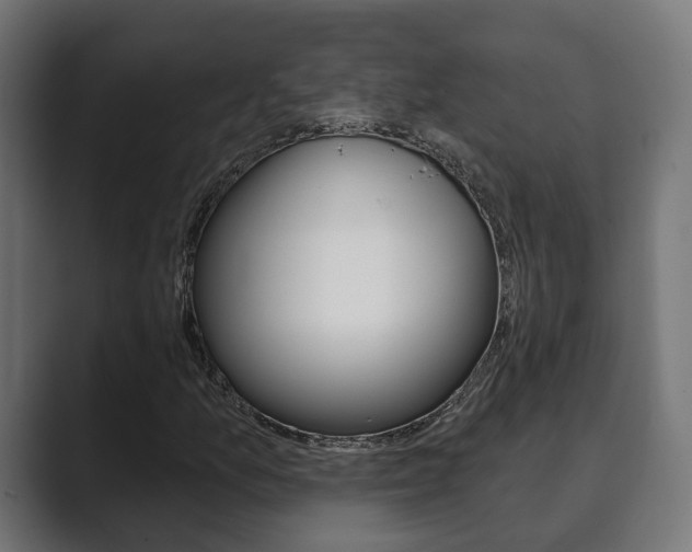 X0000089901157200706281130
