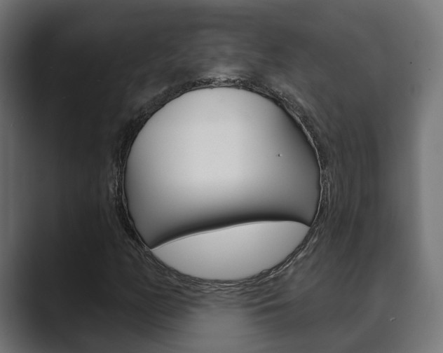 X0000089901158200706281130