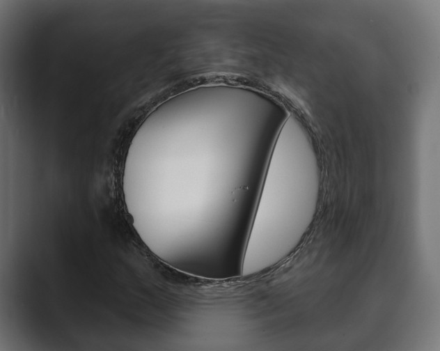 X0000089901159200706281130