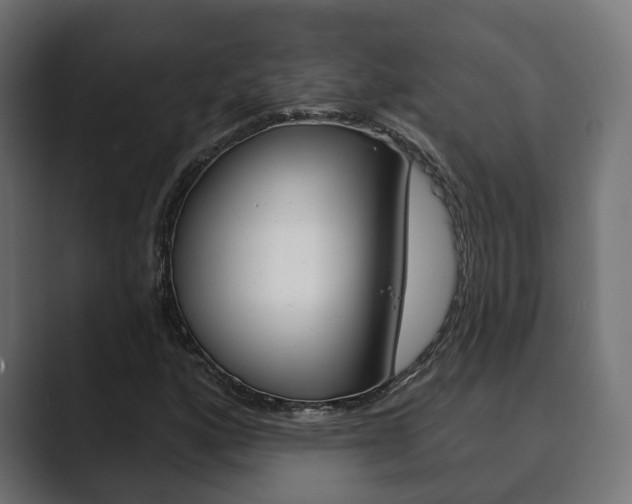 X0000089901160200706281130