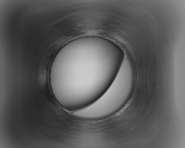 X0000089901161200706281130