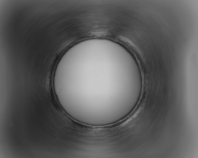 X0000089901162200706281130