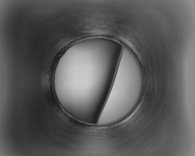 X0000089901163200706281130