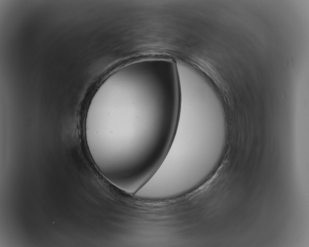 X0000089901164200706281130