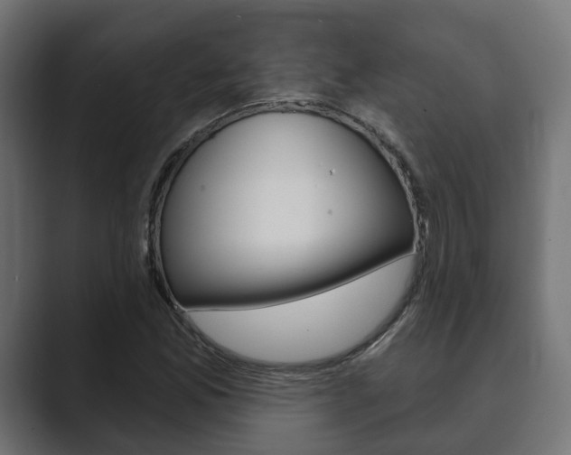 X0000089901165200706281130