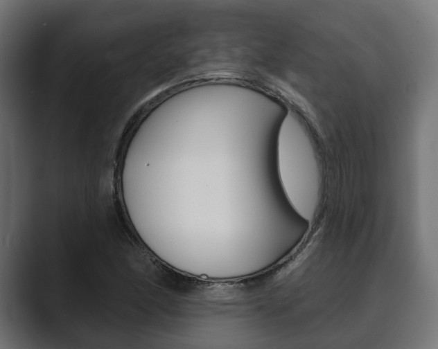 X0000089901166200706281130