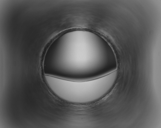 X0000089901168200706281130