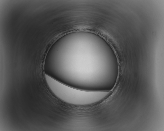 X0000089901169200706281130