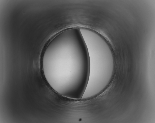 X0000089901173200706281129