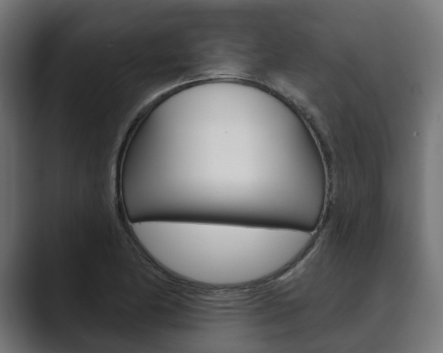 X0000089901174200706281129