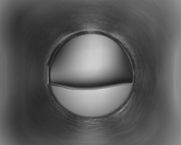X0000089901175200706281129