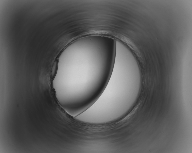 X0000089901177200706281129