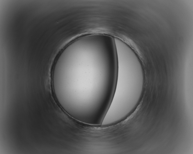 X0000089901184200706281129