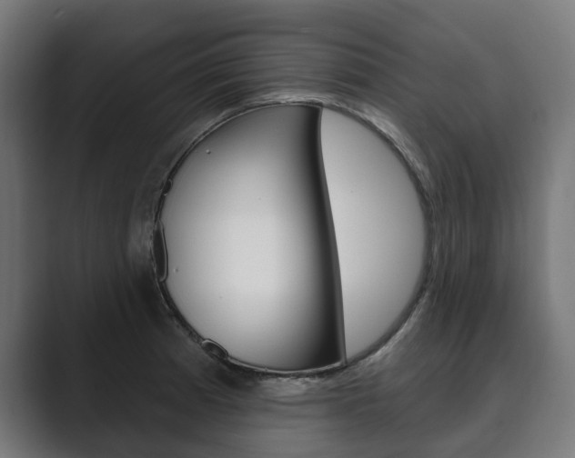 X0000089901185200706281129