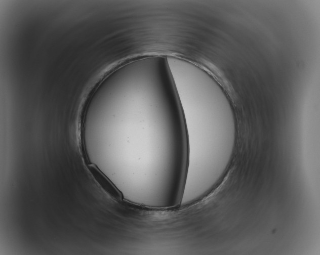 X0000089901188200706281129