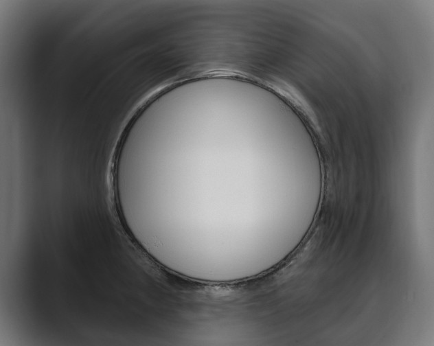 X0000089901190200706281129