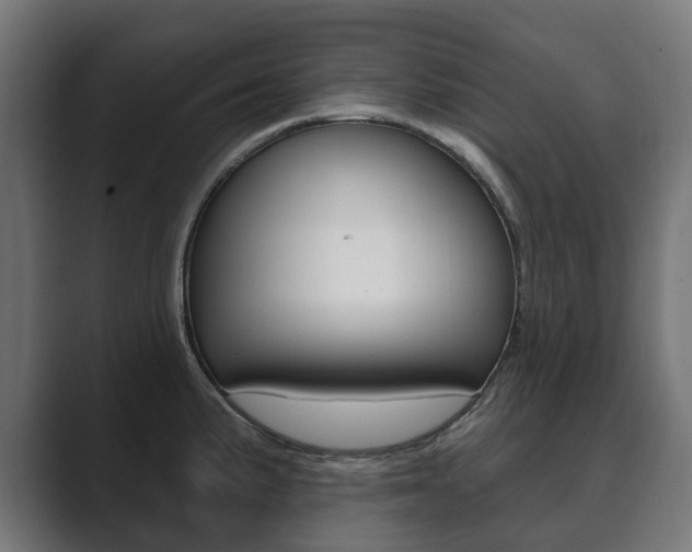 X0000089901191200706281129