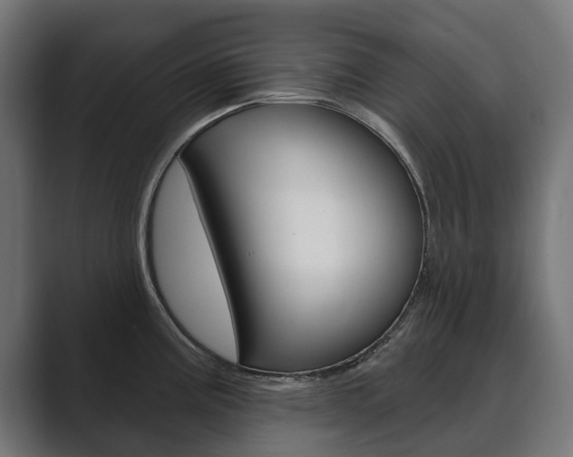 X0000089901195200706281129