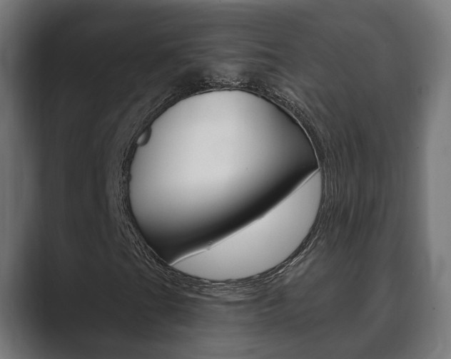 X0000089901201200706281129