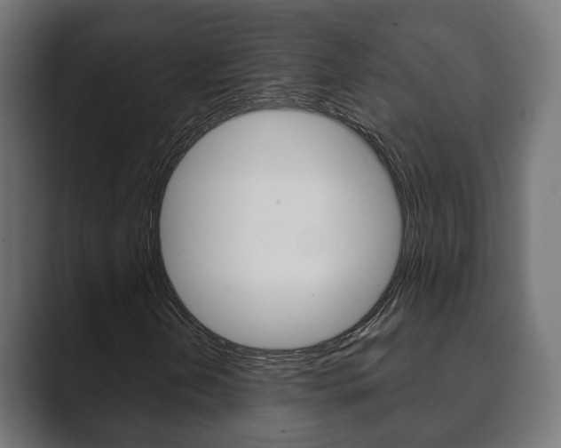 X0000089901202200706281129