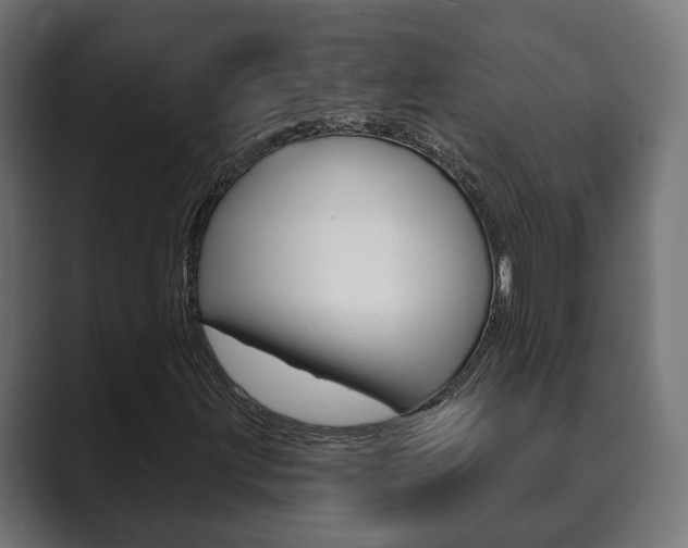 X0000089901203200706281129