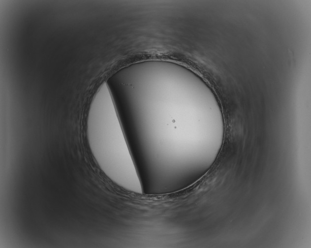X0000089901205200706281129
