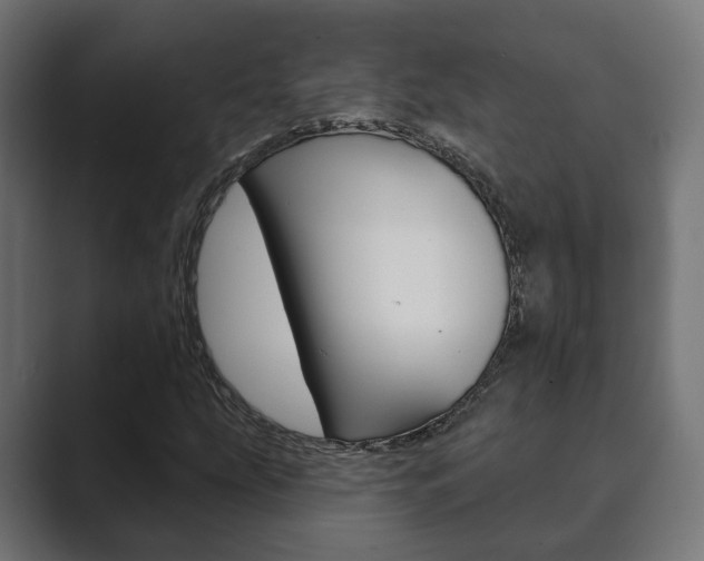 X0000089901207200706281129