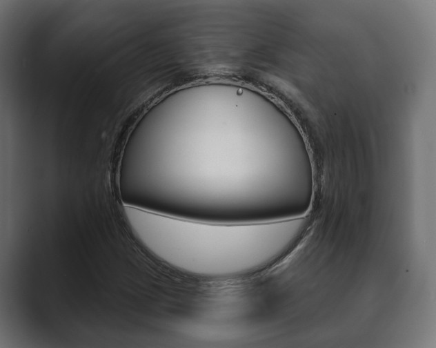 X0000089901209200706281129