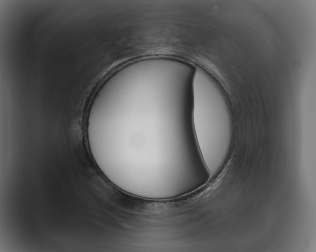 X0000089901212200706281129