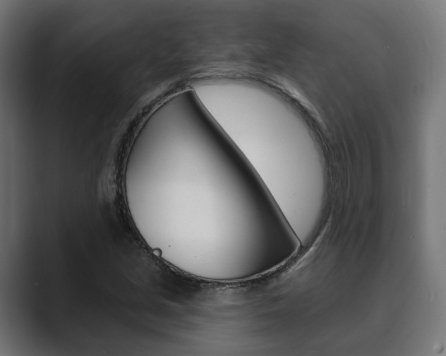 X0000089901213200706281129