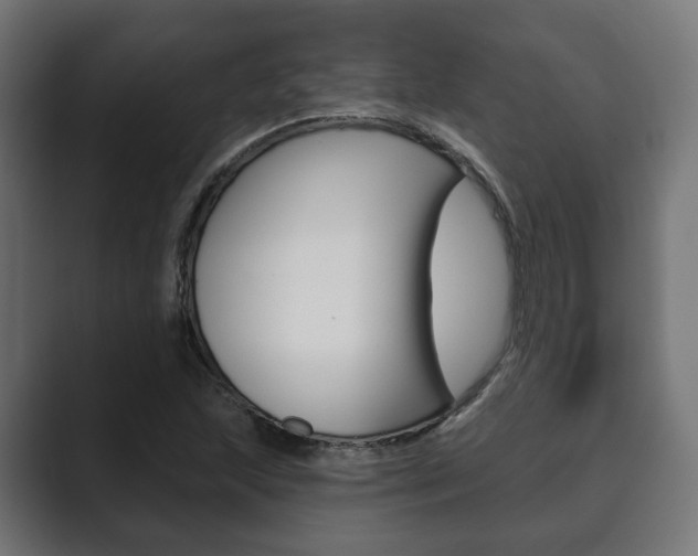 X0000089901215200706281129