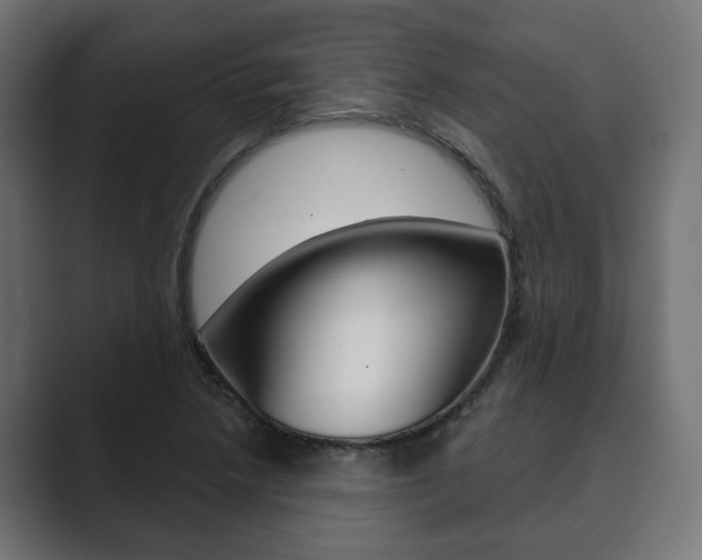 X0000089901218200706281129