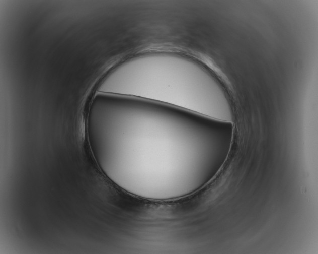 X0000089901221200706281129