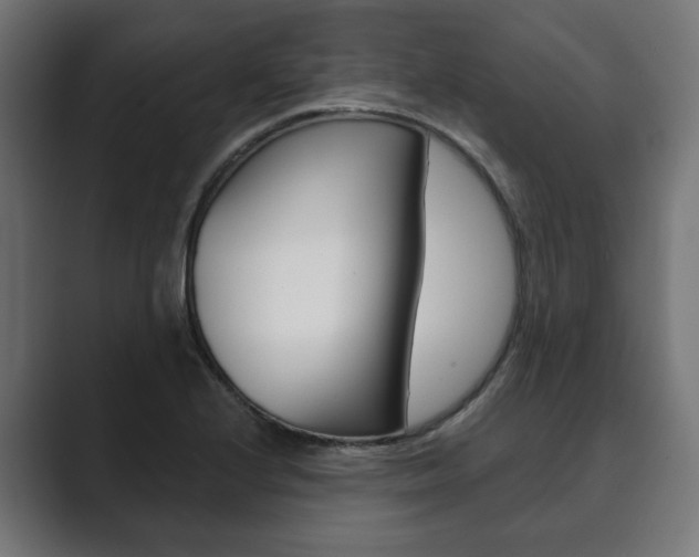 X0000089901224200706281129