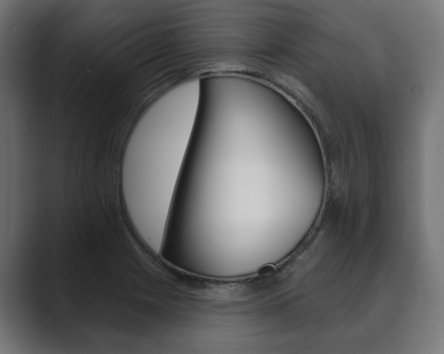 X0000089901225200706281129