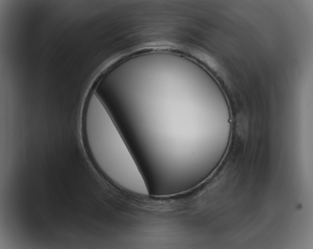 X0000089901229200706281129