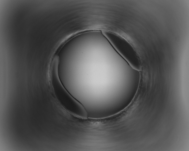 X0000089901230200706281129