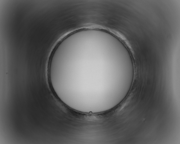 X0000089901231200706281129